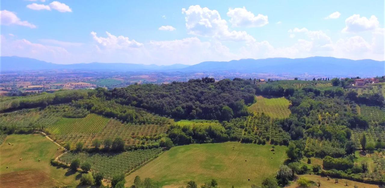Agriturismo Camiano Piccolo Montefalco Exterior foto
